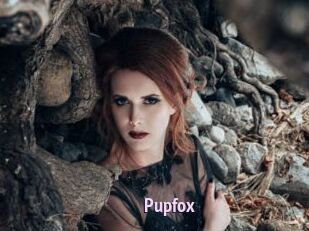 Pupfox