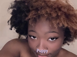 Puppy