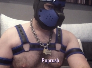 Puprush