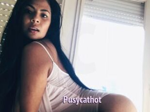 Pusycathot