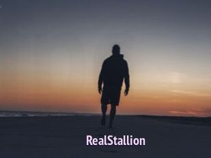 RealStallion