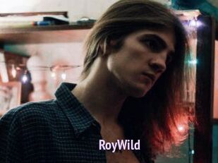 RoyWild