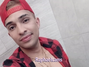 Raphaelcams