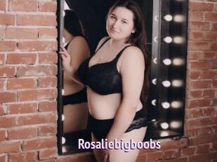 Rosaliebigboobs