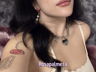 Rosapalmera