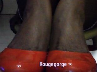 Rougegorge