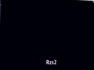 Rzs2