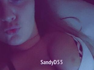 SandyD55