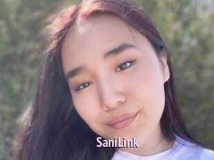 SaniLink