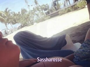 Sassharosse