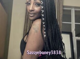 Sassyeboney3838