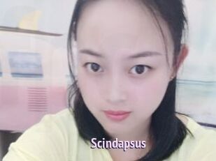 Scindapsus