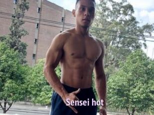 Sensei_hot