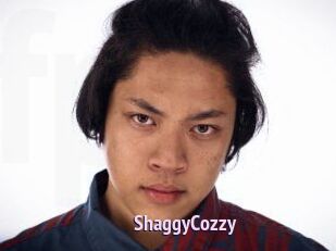 ShaggyCozzy