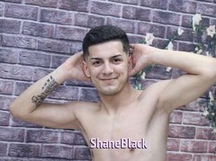 ShaneBlack