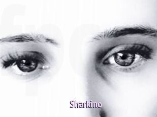 Sharkino