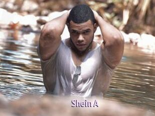 Shein_A