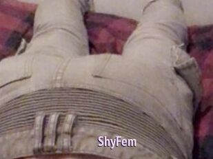 ShyFem