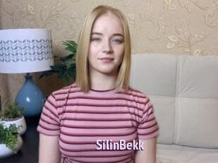 SilinBekk