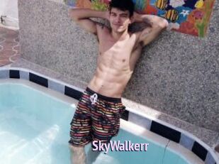 SkyWalkerr