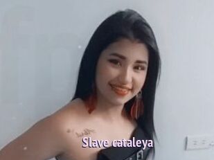Slave_cataleya