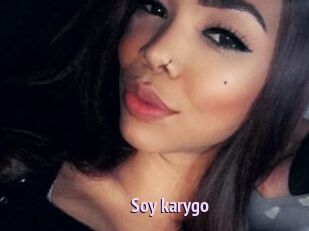 Soy_karygo