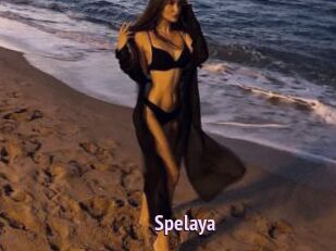 Spelaya