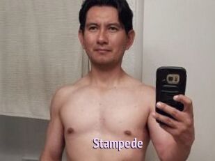 Stampede