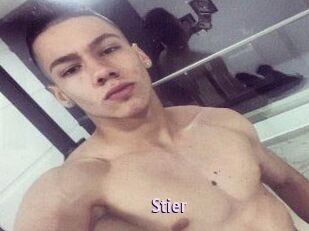 Stier