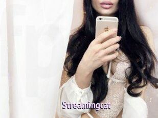 Streamingcat