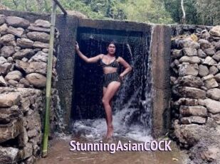 StunningAsianCOCK