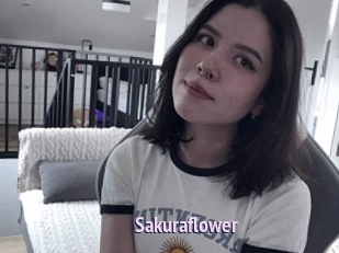 Sakuraflower