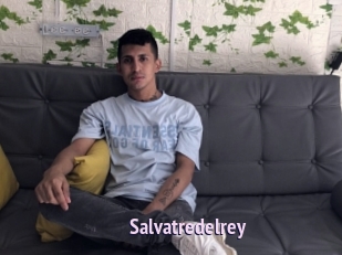 Salvatredelrey