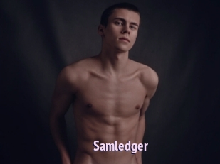 Samledger