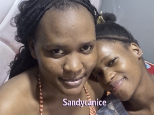 Sandycanice