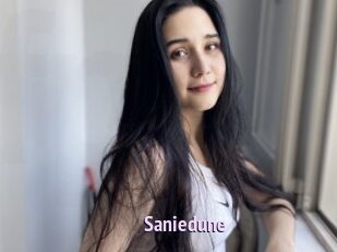 Saniedune