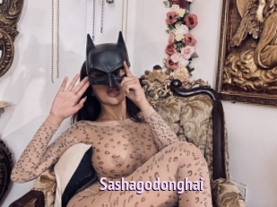 Sashagodonghai