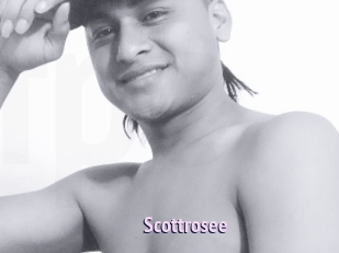 Scottrosee