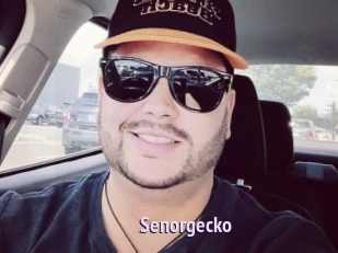 Senorgecko