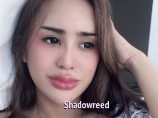 Shadowreed