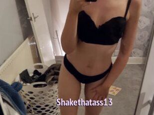 Shakethatass13