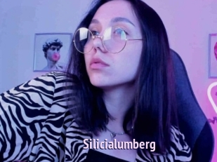 Silicialumberg
