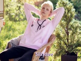 Silkydave
