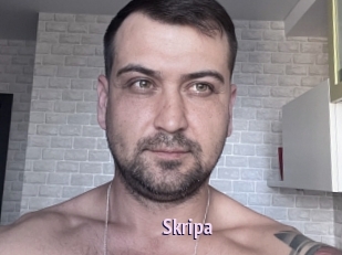 Skripa