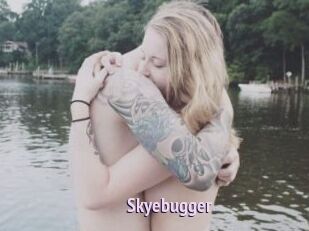 Skyebugger