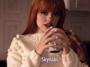 Skynabi