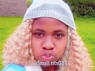 Small_tits018