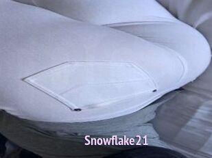 Snowflake21