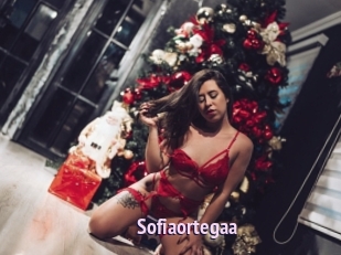 Sofiaortegaa