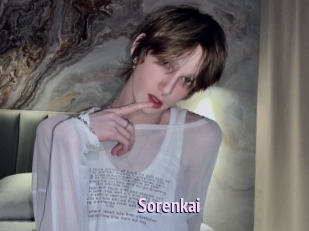 sorenkai Film Porno